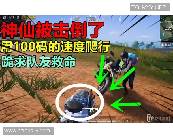 和平精英最新速度排行榜揭晓WE战队荣登第八名引发关注 和平精英最新速度排行榜揭晓WE战队荣登第八名引发关注