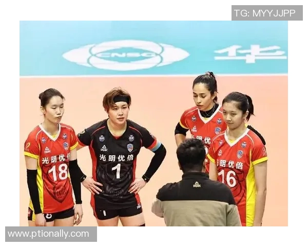 广州排球队创历史新高排球状态排名再创新佳绩