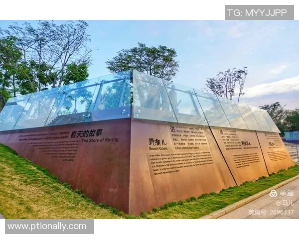 深圳足球队的华丽转身洲际杯特别报道见证转型之路的辉煌与挑战