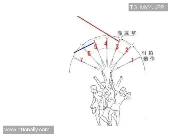 从零起步羽毛球比赛全攻略助你轻松赢得胜利的秘诀与技巧 从零起步羽毛球比赛全攻略助你轻松赢得胜利的秘诀与技巧