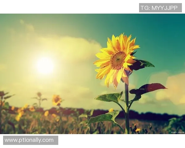 刘芳的排球人生深度对话:从赛场到人生的启示与成长之路 刘芳的排球人生深度对话:从赛场到人生的启示与成长之路