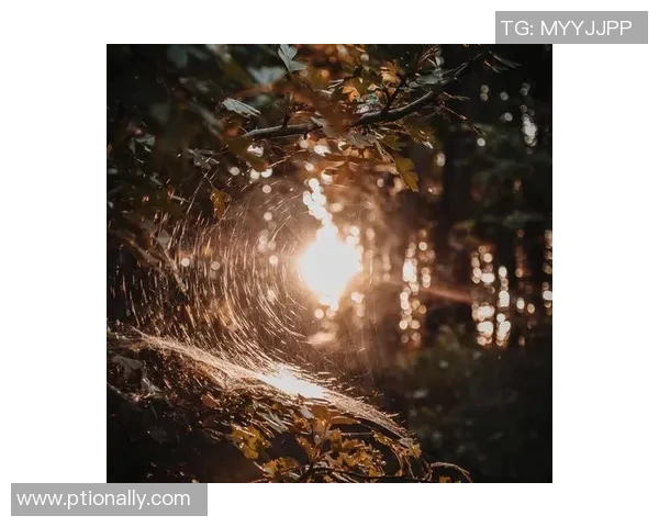 萨林杰的文学世界探索与人性深邃思考的交织之旅