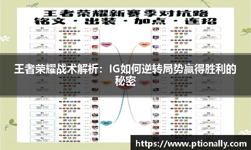 333体育app登录入口
