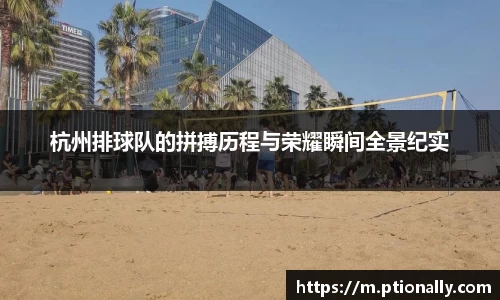 333体育官网