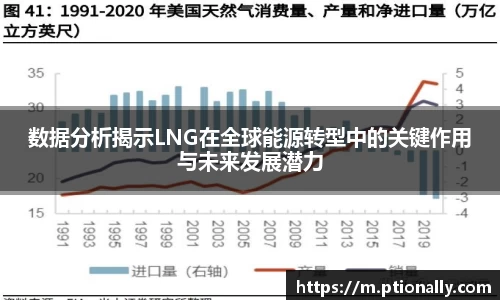 数据分析揭示LNG在全球能源转型中的关键作用与未来发展潜力