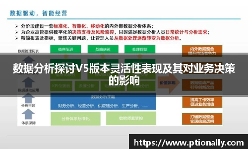 数据分析探讨V5版本灵活性表现及其对业务决策的影响