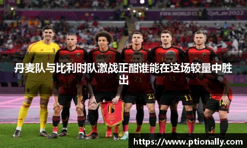 丹麦队与比利时队激战正酣谁能在这场较量中胜出