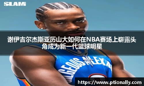 333游戏平台